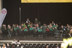 Postmusiktreffen 2014 Graz (29)