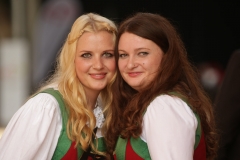 Postmusiktreffen 2014 Graz (58)