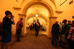 Postmusiktreffen 2014 Graz (7)